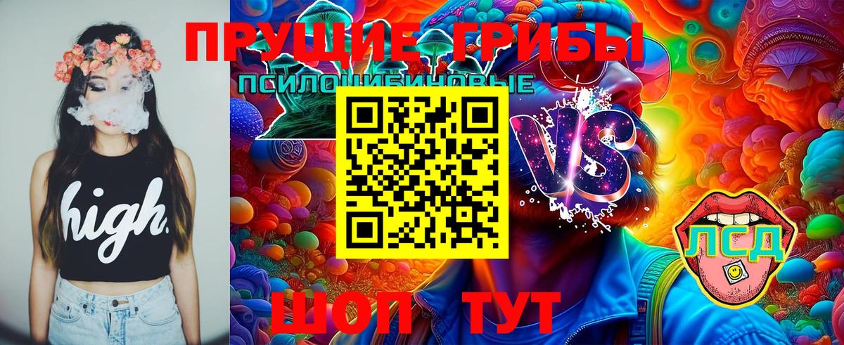 Псилоцибиновые грибы MAGIC MUSHROOMS Рассказово