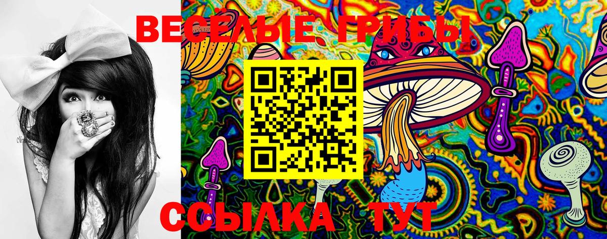 Галлюциногенные грибы GOLDEN TEACHER  Псилоцибиновые грибы Psilocybine cubensis  Рассказово 